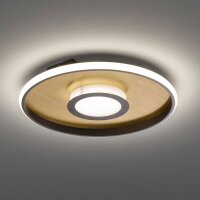 Fischer&amp;Honsel Zoe Premium-Serie LED Deckenleuchte &Oslash;60cm Gold/Rostfarben Dimmbar