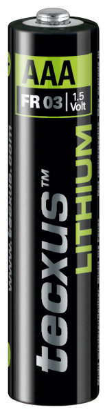 2 x Tecxus Batterie Lithium Power Micro AAA, FR 03